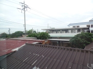 View from the Bangkok hotel. Stray cats walked by on the roof