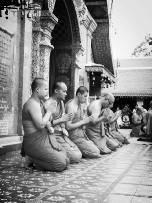 Monks in Chiang Mai